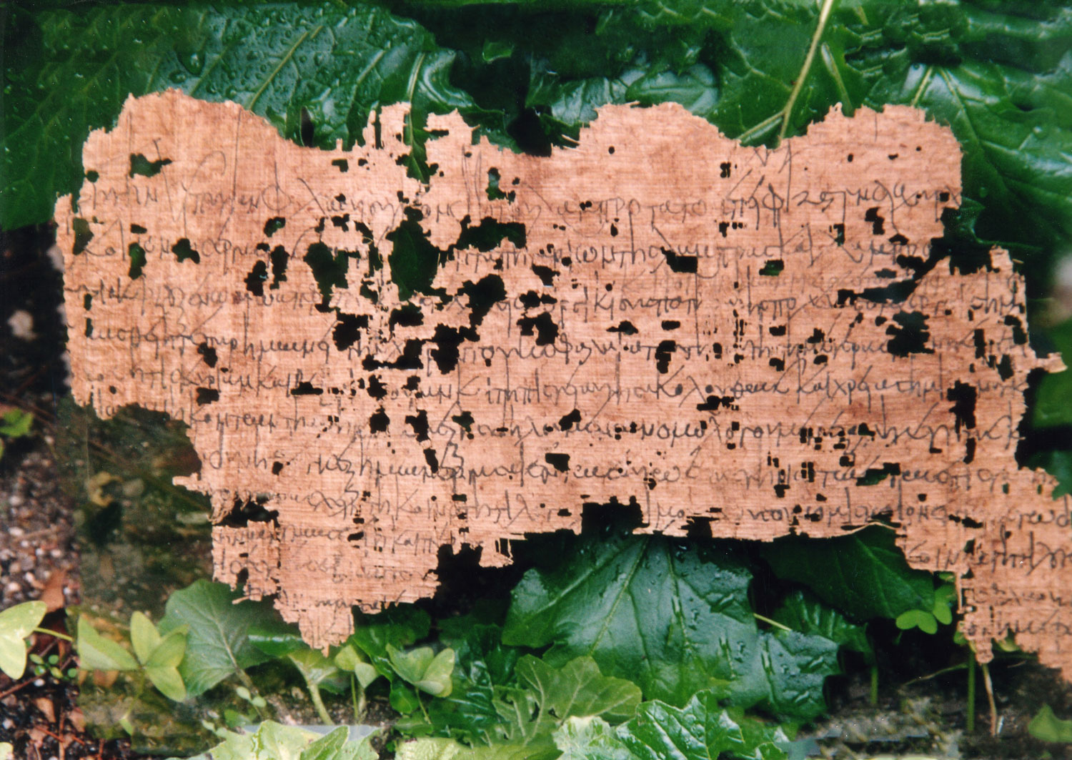 Papyri Matritenses