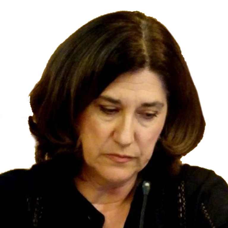 Dra. D.ª Alicia Valmaña Ochaíta