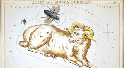 Los signos zodiacales I: Aries, Tauro, Géminis, Cáncer